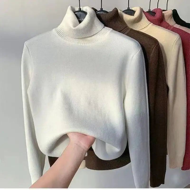 Cassandra |  Rollkragenpullover