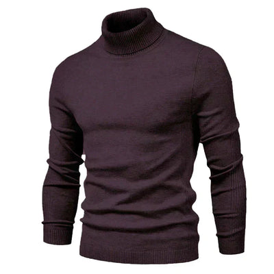 Nicolas - Stilvoller Rollkragenpullover