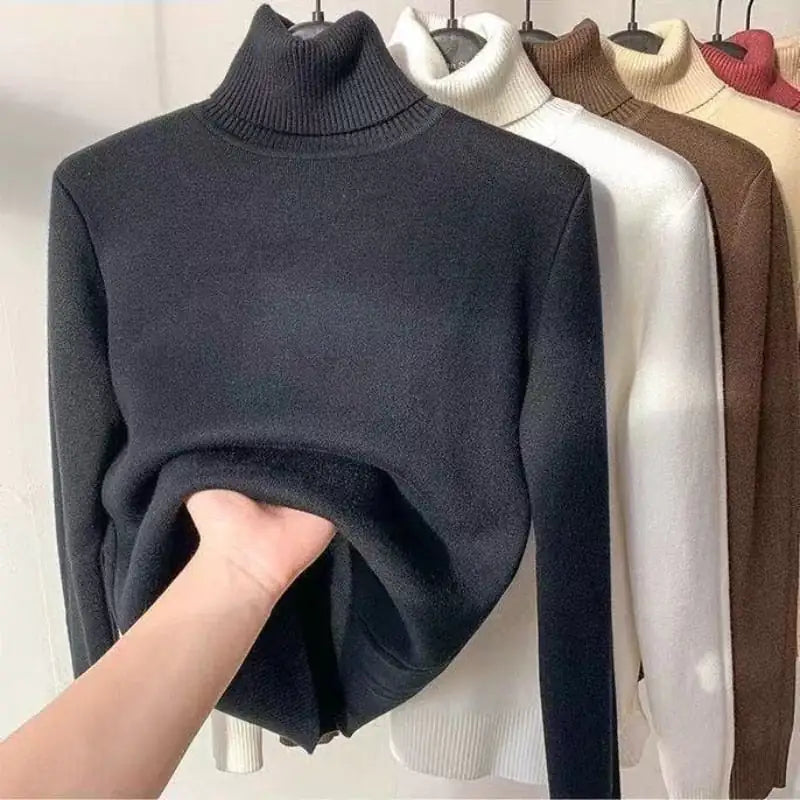 Cassandra |  Rollkragenpullover